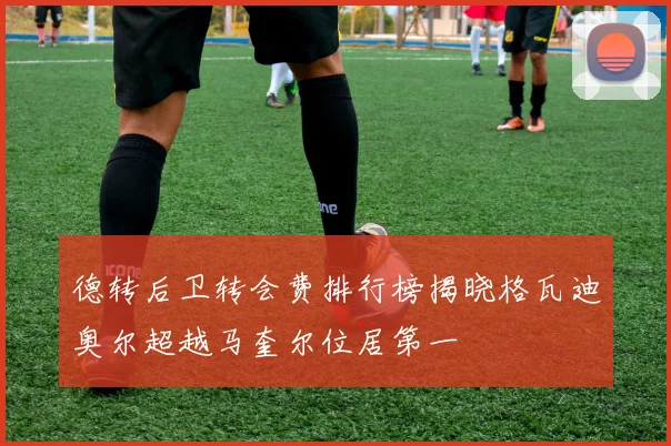 德转后卫转会费排行榜揭晓格瓦迪奥尔超越马奎尔位居第一